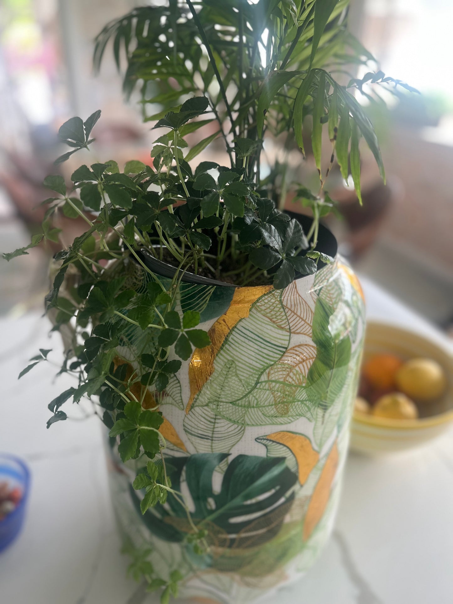 Kruka av zink, Monstera mellan