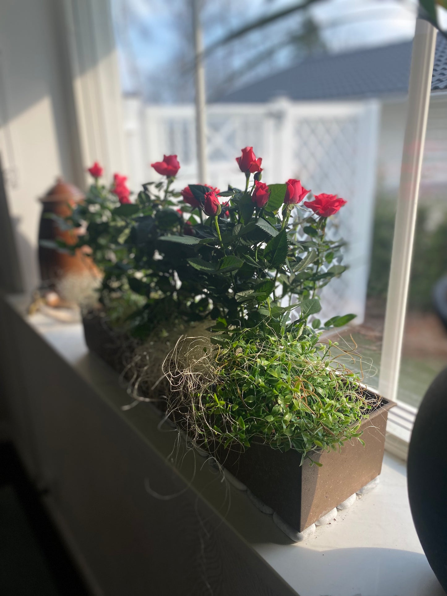 Planteringslåda/Ljusstake Ragna i rost Large