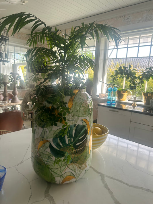 Kruka av zink, Monstera mellan